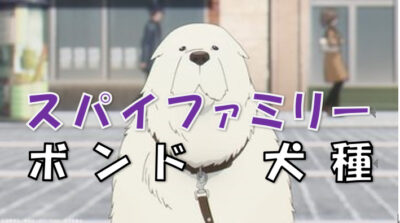 スパイファミリーボンド犬種