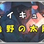 ハイキュー 日向翔陽 烏野の太陽