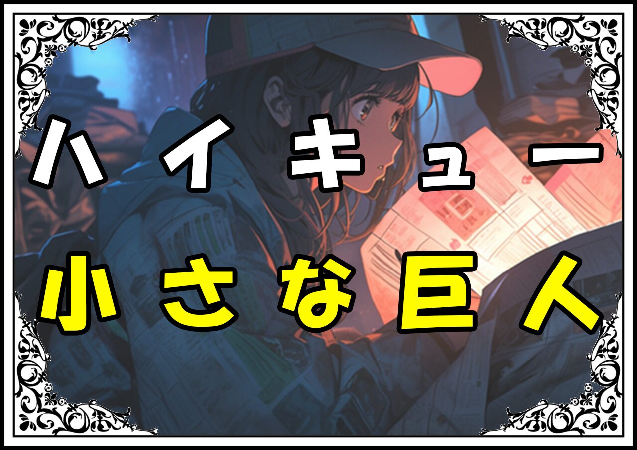 ハイキュー 西谷夕 小さな巨人