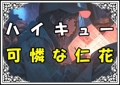 ハイキュー 谷地仁花 可憐な仁花