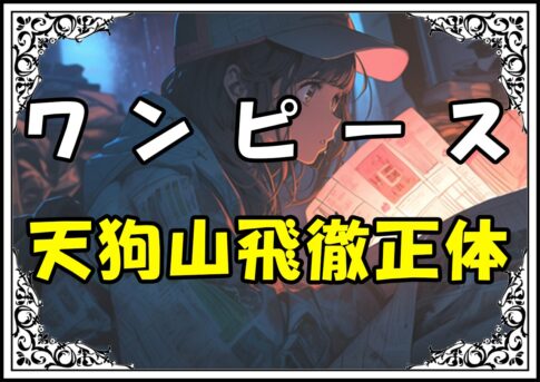 ワンピース 天狗山飛徹正体