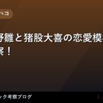 thumb 161229 1