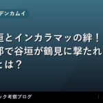 thumb 52704 1