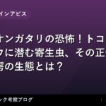 thumb 57781 1
