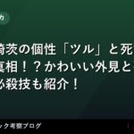 thumb 76596 1