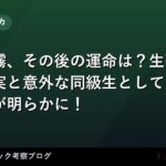 thumb 92472 1