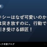thumb 45120 2